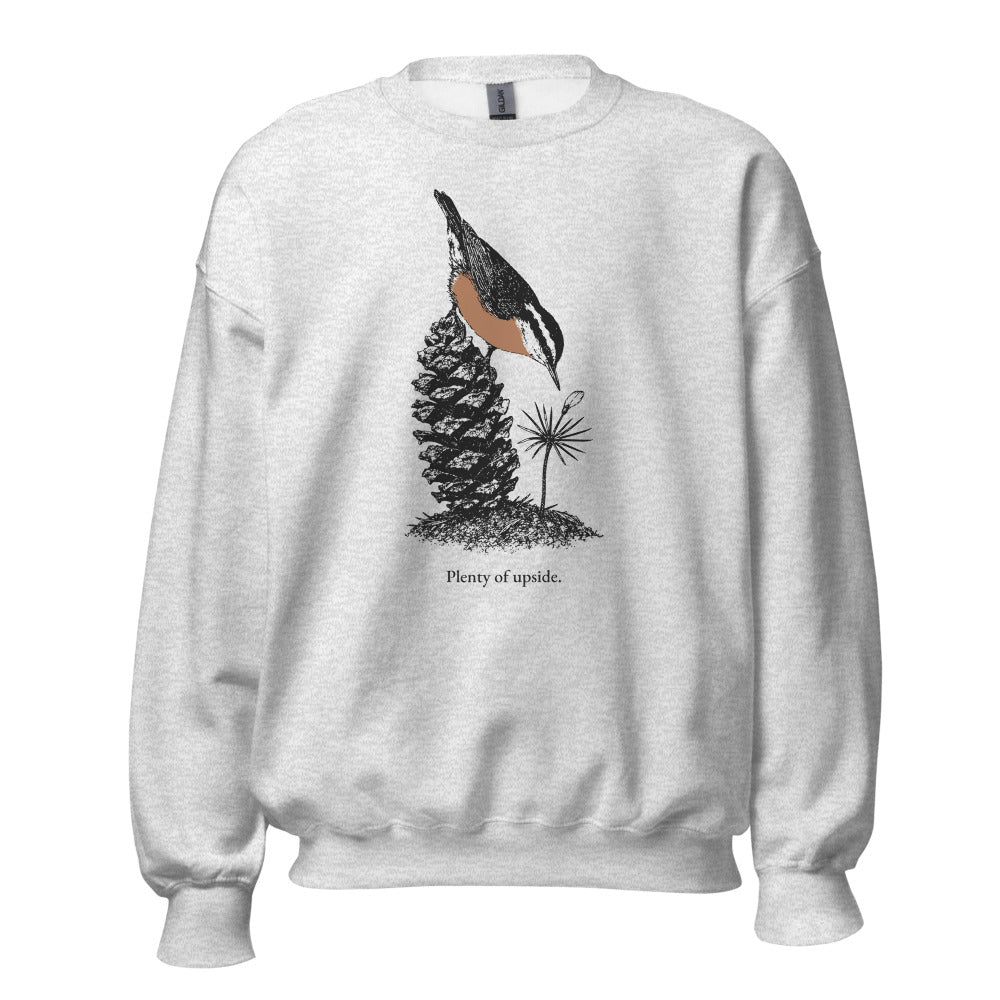 Plenty of upside nuthatch crewneck, tall front, Ash