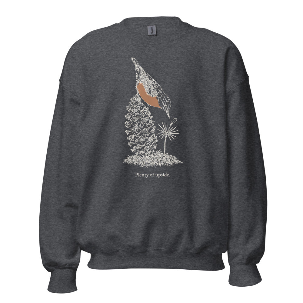 Plenty of upside nuthatch crewneck, tall front, Dark Heather