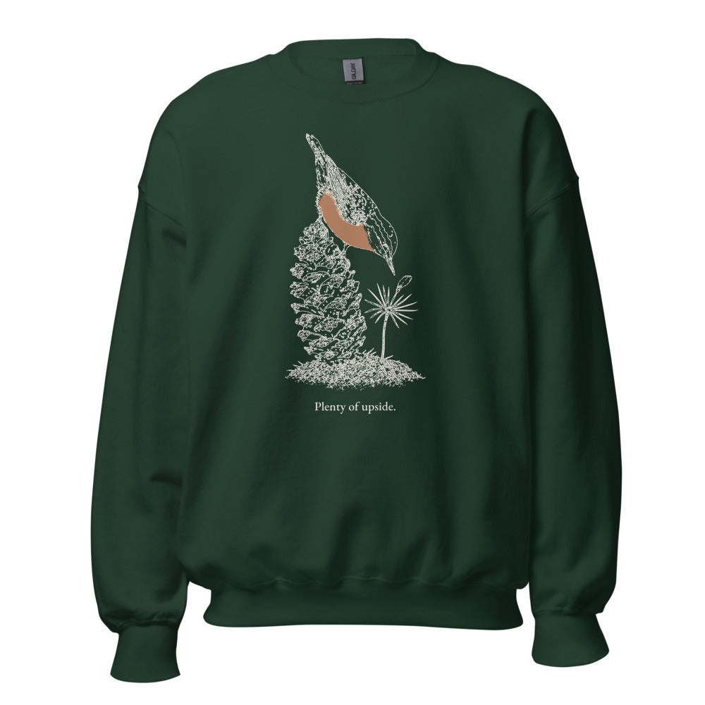 Plenty of upside nuthatch crewneck, tall front, Forest Green