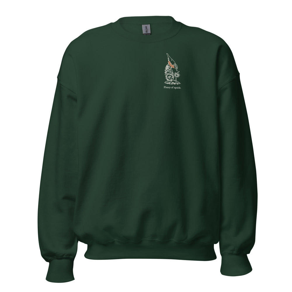 Plenty of upside nuthatch crewneck, chest mark, Forest Green