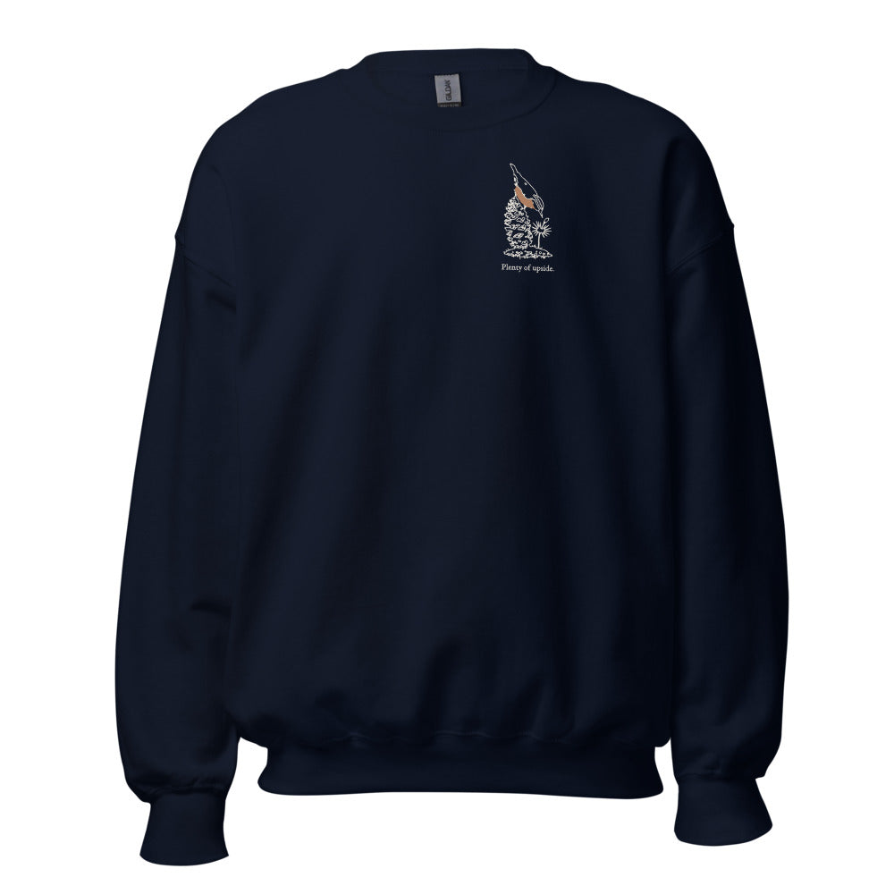 Plenty of upside nuthatch crewneck, chest mark, Navy