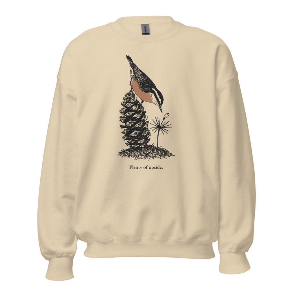 Plenty of upside nuthatch crewneck, tall front, Sand